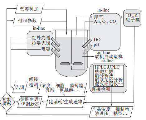 图片25.png